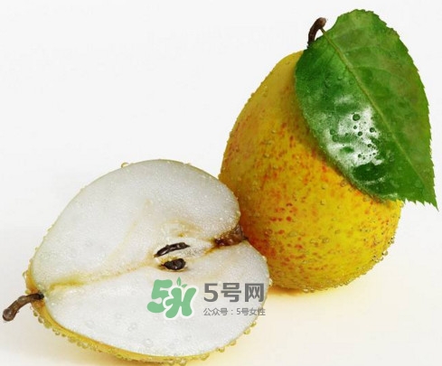 梨子核可以種盆栽嗎？梨子籽怎么種小盆栽