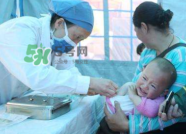 hib疫苗多少錢一針？hib疫苗多少錢？