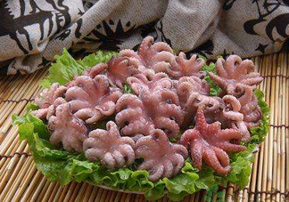 八爪魚煮多久才好？八爪魚需要煮多久？