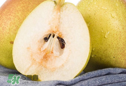 梨子核可以種盆栽嗎？梨子籽怎么種小盆栽