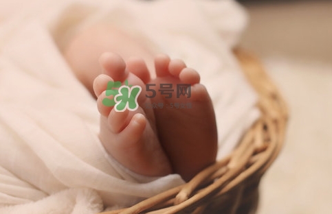 孕婦怎么吃燕窩最好？哪些孕媽需要吃燕窩？