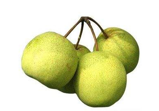 碭山梨好還是皇冠梨好？碭山梨和皇冠梨的區(qū)別