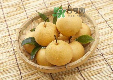 梨子怎么保存？梨子可以放冰箱嗎