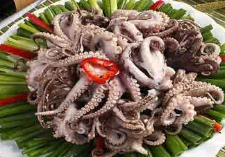 八爪魚可以冷凍嗎？八爪魚可以放冰箱嗎？