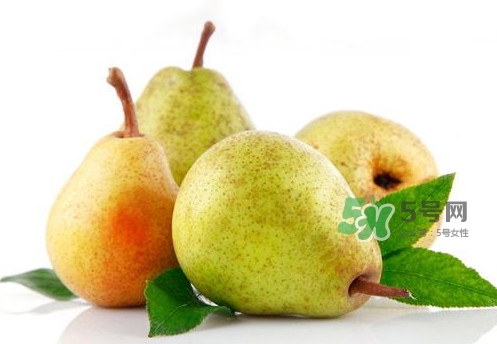 為什么梨子是溫度最高的水果？梨子什么人不能吃