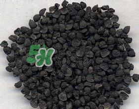 怎么看男人腎好不好？男人腎虛吃什么調(diào)理？