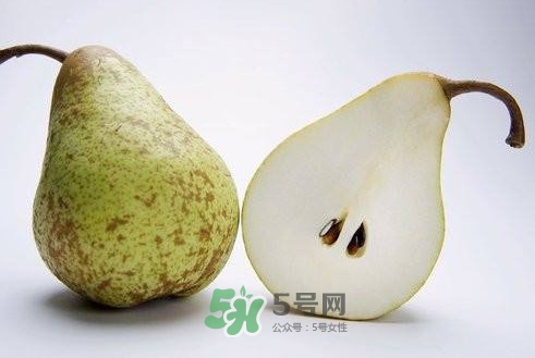 梨子核可以種盆栽嗎？梨子籽怎么種小盆栽