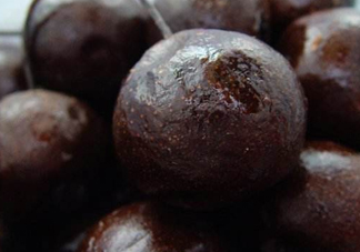 孕婦能吃凍梨嗎？懷孕了可以吃凍梨嗎