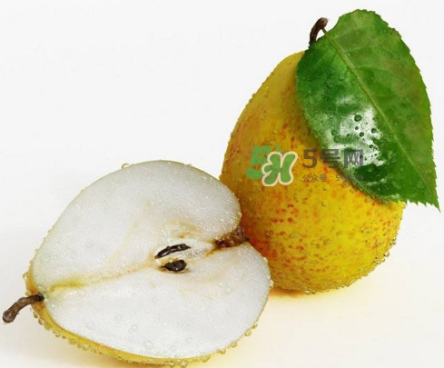 梨子什么時候吃最好？梨子什么時候成熟