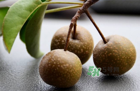 棠梨子怎么吃？棠梨子孕婦可以吃嗎