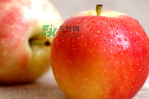 嘎啦蘋果多少錢？嘎啦果多少錢一斤