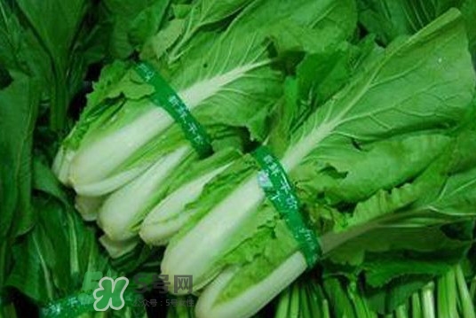 水白菜可以吃嗎？水白菜能吃嗎