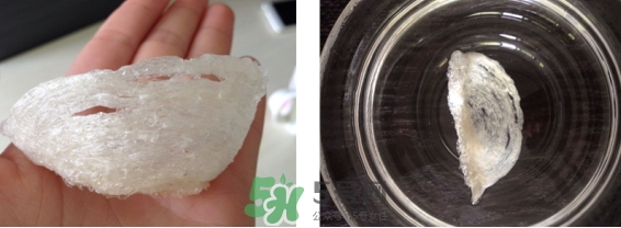 燕窩用什么鍋燉最好吃？燕窩用什么器具燉最好？