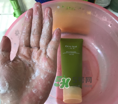 一葉子補(bǔ)水潔面乳怎么樣？一葉子補(bǔ)水洗面奶好用嗎？