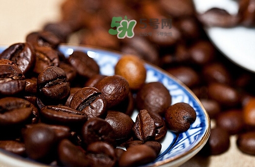 貓屎咖啡是貓屎做的嗎？貓屎咖啡是什么貓的屎