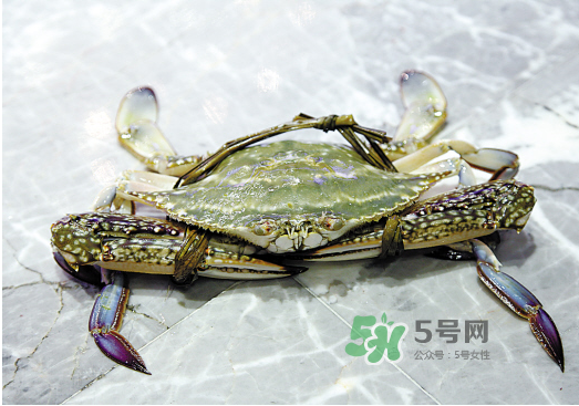 梭子蟹可以和酸奶一起吃嗎？吃完梭子蟹能喝酸奶嗎？