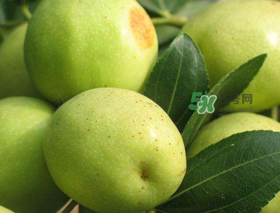 梨棗和冬棗哪個(gè)大？梨棗和冬棗的區(qū)別