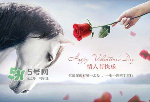 roseonly怎么樣？roseonly好看嗎？