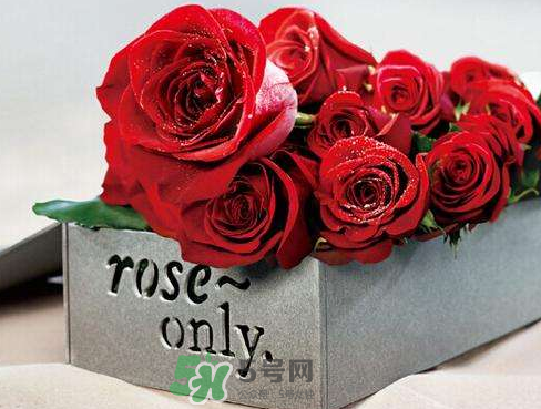 roseonly怎么樣？roseonly好看嗎？