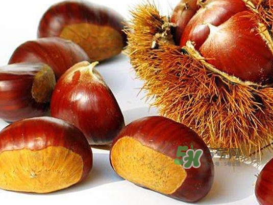 板栗什么時(shí)候上市？板栗什么人不能吃