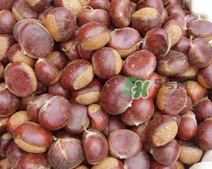 哪里產(chǎn)的板栗最好吃？板栗怎么挑選