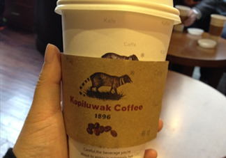 貓屎咖啡多少錢一杯？貓屎咖啡多少錢一斤