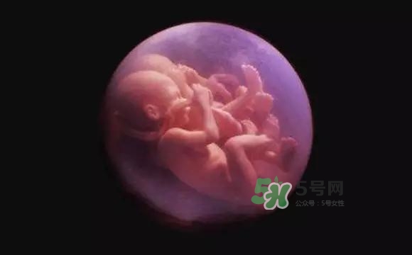 多胞胎是怎么生產(chǎn)的？多胞胎應(yīng)選擇什么分娩方式