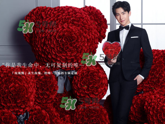 roseonly熊什么材質(zhì)？roseonly玫瑰熊是真花嗎？