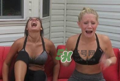 卡羅萊納死神辣椒中國(guó)有嗎？死神辣椒哪里有賣