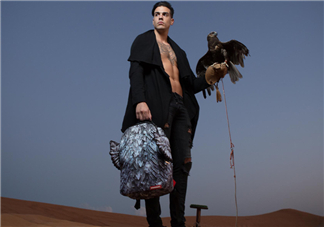 sprayground翅膀書包多少錢？sprayground雙肩包什么價位？