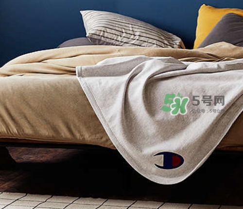 champion reverse weave毯子多少錢_在哪買_怎么買？