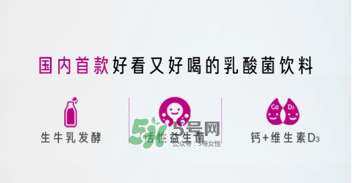 每日活菌乳酸菌多少錢一瓶？每日活菌乳酸菌好喝嗎？