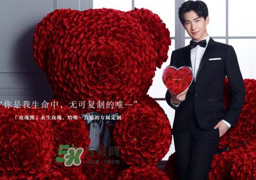 roseonly熊多大_roseonly玫瑰熊尺寸_roseonly玫瑰熊怎么買(mǎi)