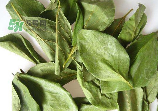 怎樣制作柿子葉茶？柿子葉茶的做法