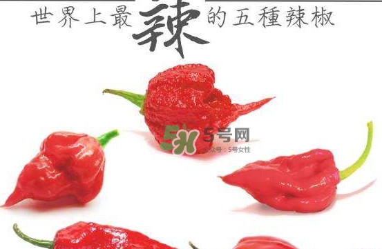 卡羅萊納死神辣椒中國(guó)有嗎？死神辣椒哪里有賣