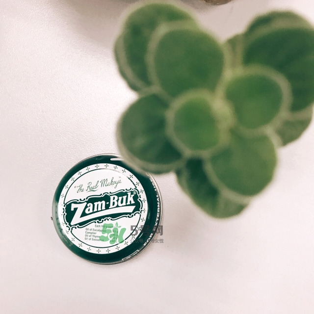 小蜜蜂紫草膏的功效與作用 小蜜蜂紫草膏的用途 小蜜蜂紫草膏的功效與作用 小蜜蜂紫草膏的用途