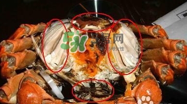 螃蟹怎么吃好吃？螃蟹和什么一起吃最好？