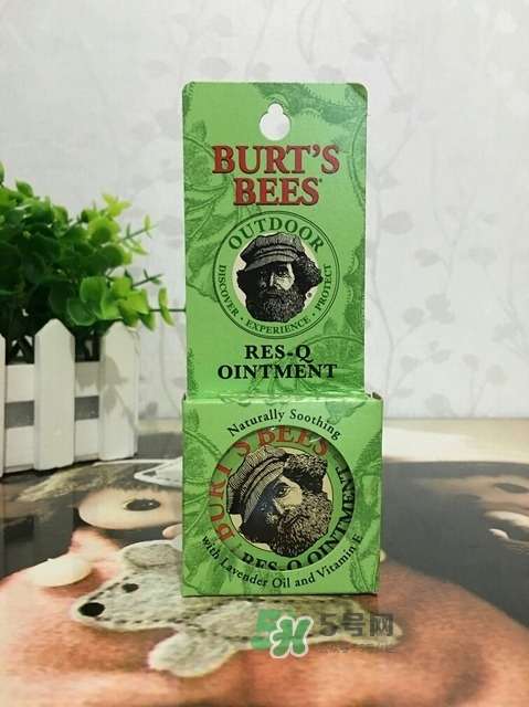 小蜜蜂紫草膏的功效與作用 小蜜蜂紫草膏的用途 小蜜蜂紫草膏的功效與作用 小蜜蜂紫草膏的用途