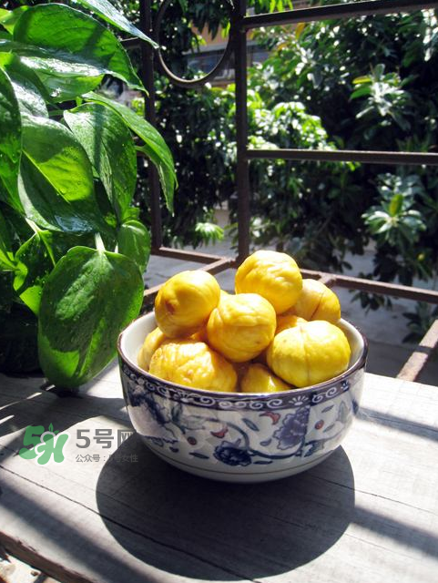 板栗吃多了會(huì)放屁嗎？板栗吃多了胃脹怎么辦？