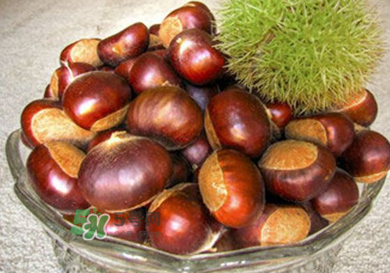 板栗能補腎嗎？板栗補腎陰還是腎陽？