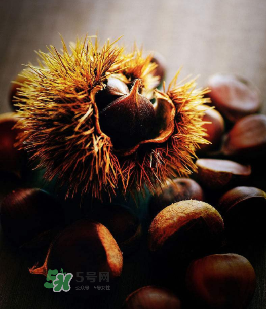 板栗能補腎嗎？板栗補腎陰還是腎陽？