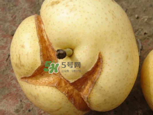 皇冠梨雞爪病能吃嗎？皇冠梨雞爪病怎么辦？