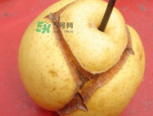 皇冠梨雞爪病能吃嗎？皇冠梨雞爪病怎么辦？