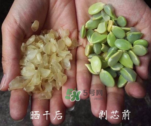 皂角米是什么味道？皂角米是什么顏色