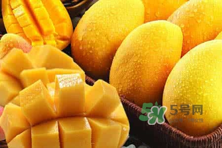 孕晚期能吃芒果嗎？孕晚期吃了很多芒果對胎兒好嗎？