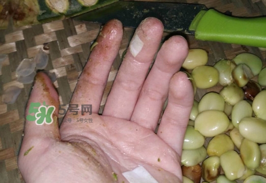 皂角米是怎么剝出來的？皂角米是酸性還是堿性