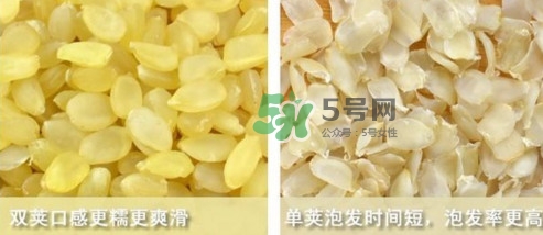皂角米吃了有什么好處？皂角米的功效與作用