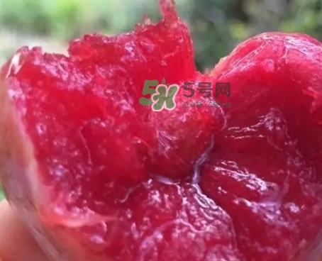 芙蓉李甜嗎？芙蓉李好吃嗎？