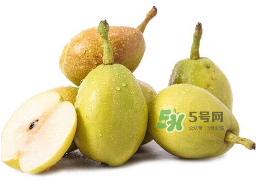 香梨能不能熬冰糖雪梨？香梨可以做冰糖雪梨嗎？