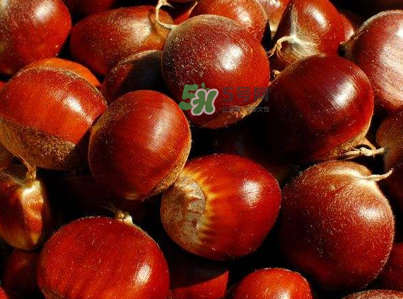 板栗生吃有什么好處？板栗生吃的功效